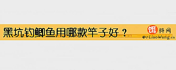 黑坑钓鲫鱼用哪款竿子好