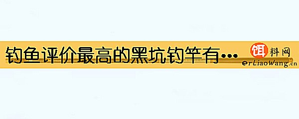 钓鱼评价最高的黑坑钓竿有哪些