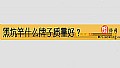《黑坑竿什么牌子质量好?》封面图