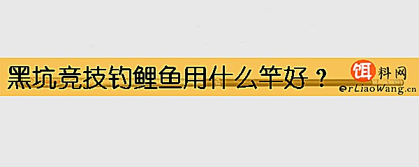 黑坑竞技钓鲤鱼用什么竿好