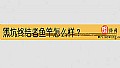 黑坑终结者鱼竿怎么样？