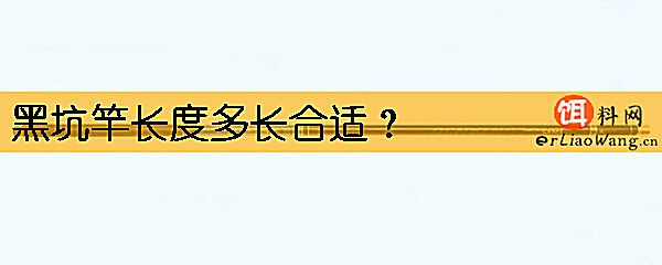 黑坑竿长度多长合适