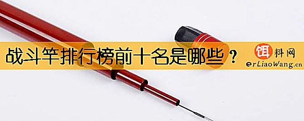 战斗竿排行榜前十名是哪些