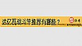 《达亿瓦战斗竿推荐有哪些？》封面图