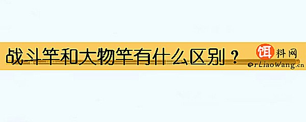 战斗竿和大物竿有什么区别