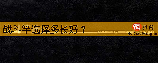 战斗竿选择多长好
