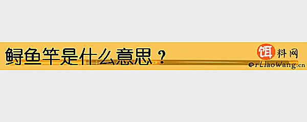 鲟鱼竿是什么意思