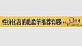 《性价比高的鲇鱼竿推荐有哪些?》封面图
