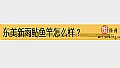 《东美新雨鲇鱼竿怎么样?》封面图