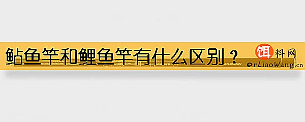 鲇鱼竿和鲤鱼竿有什么区别