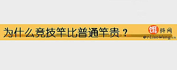 为什么竞技竿比普通竿贵
