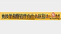 《竞技竿和野钓竿有什么区别?》封面图