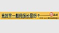 《竞技竿一般用多长最好?》封面图