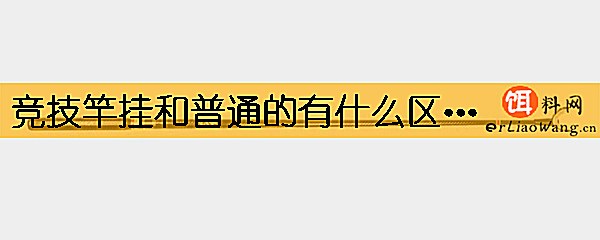 竞技竿挂和普通的有什么区别