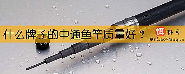 什么牌子的中通鱼竿质量好