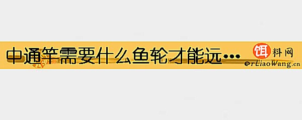 中通竿需要什么鱼轮才能远投