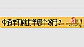 《中通竿和前打竿哪个好用?》封面图