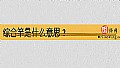 《综合竿是什么意思?》封面图