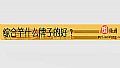 《综合竿什么牌子的好?》封面图