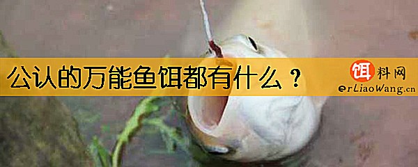 公认的万能鱼饵都有什么