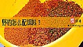 《野钓怎么配饵料?》封面图