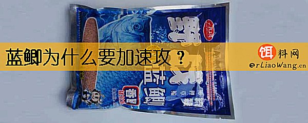 蓝鲫为什么要加速攻