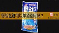 《野战蓝鲫可以单独使用吗？》封面图
