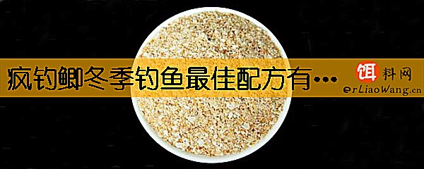 疯钓鲫冬季钓鱼最佳配方有哪些