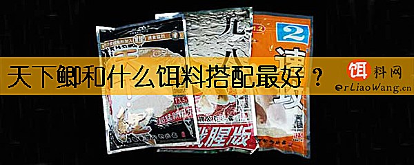 天下鲫和什么饵料搭配最好