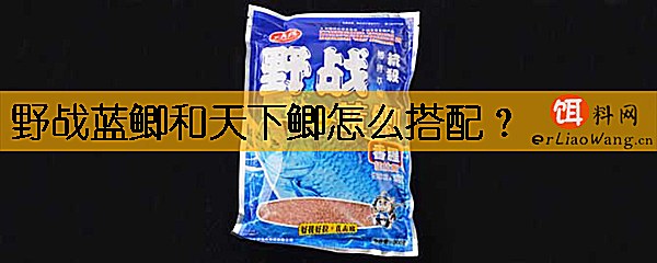 野战蓝鲫和天下鲫怎么搭配