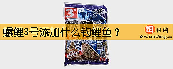 螺鲤3号添加什么钓鲤鱼