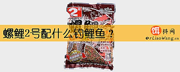 螺鲤2号配什么钓鲤鱼