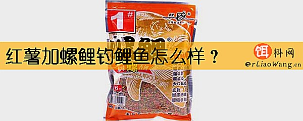 红薯加螺鲤钓鲤鱼怎么样