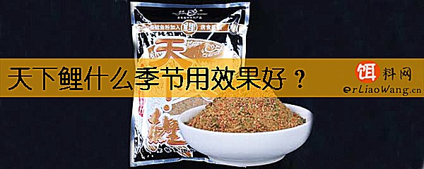 天下鲤什么季节用效果好