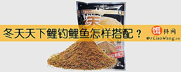 冬天天下鲤钓鲤鱼怎样搭配