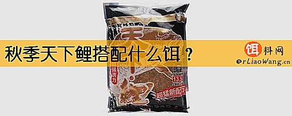 秋季天下鲤搭配什么饵