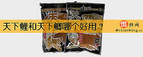 天下鲤和天下鲫哪个好用