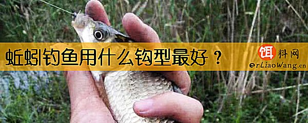 蚯蚓钓鱼用什么钩型最好
