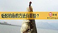 《蚯蚓钓鱼的方法有哪些？》封面图