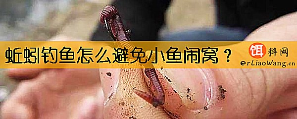 蚯蚓钓鱼怎么避免小鱼闹窝