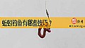 《蚯蚓钓鱼有哪些技巧？》封面图