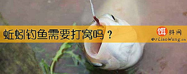 蚯蚓钓鱼需要打窝吗