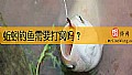 《蚯蚓钓鱼需要打窝吗？》封面图