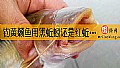 《钓黄颡鱼用黑蚯蚓还是红蚯蚓？》封面图