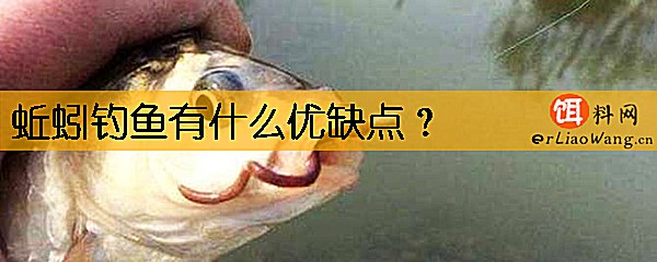 蚯蚓钓鱼有什么优缺点