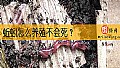 《蚯蚓怎么养殖不会死？》封面图