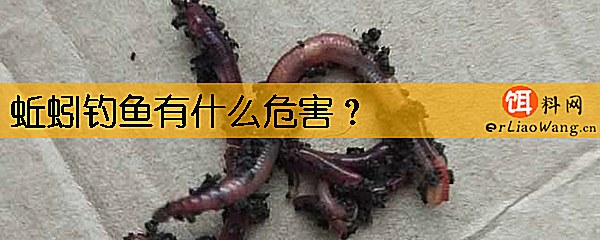 蚯蚓钓鱼有什么危害