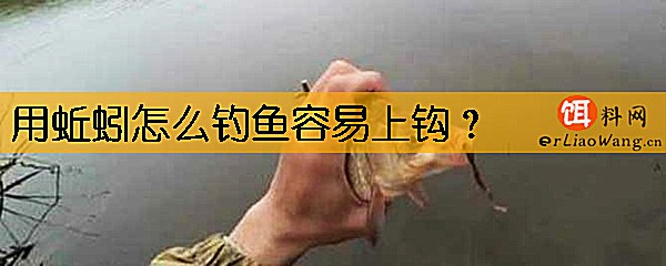 用蚯蚓怎么钓鱼容易上钩