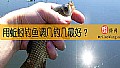 《用蚯蚓钓鱼调几钓几最好？》封面图