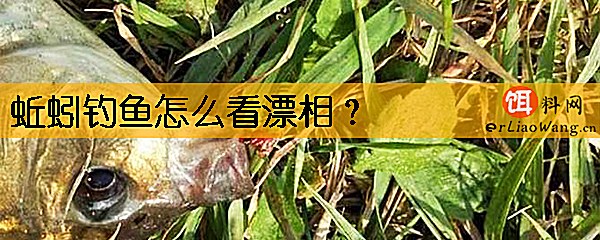 蚯蚓钓鱼怎么看漂相